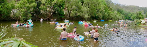 Jungle Love Festival - Accommodation Mermaid Beach 1