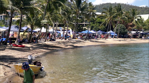 Lions Airlie Beach Community Markets - Accommodation Mermaid Beach 0
