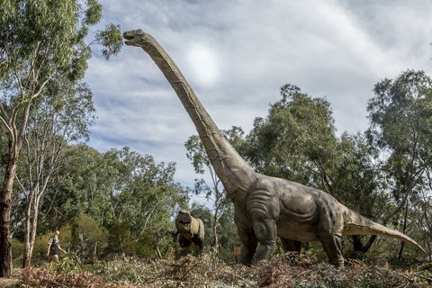 Lost Sanctuary At Healesville Sanctuary - Accommodation Mermaid Beach 0