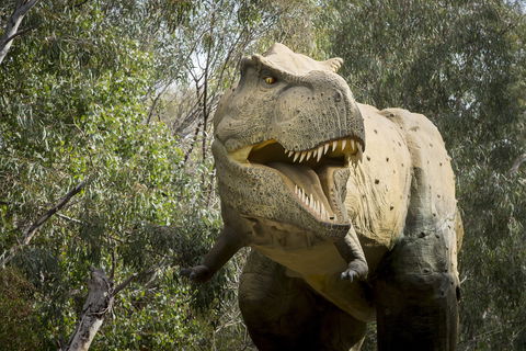 Lost Sanctuary At Healesville Sanctuary - Accommodation Mermaid Beach 2