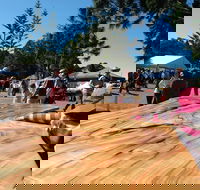 Maleny Wood Expo From Seed to Fine Furniture - Accommodation Mermaid Beach