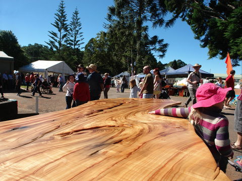 Maleny Wood Expo: From Seed To Fine Furniture - Accommodation Mermaid Beach 0