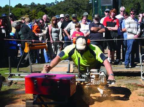 Maleny Wood Expo: From Seed To Fine Furniture - Accommodation Mermaid Beach 2