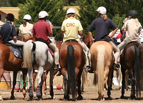 Michelago Pony Club Gymkhana And Sporting Spectacular - Accommodation Mermaid Beach 0