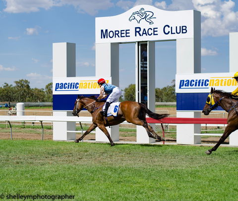 Moree Race Club TAB Race Day - Accommodation Mermaid Beach 0