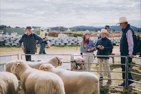 Mudgee Small Farm Field Days - Accommodation Mermaid Beach 0
