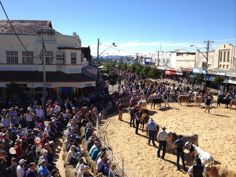 NCMC Casino Beef Week - Accommodation Mermaid Beach 0