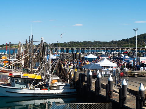 Ocean Harvest Festival - Accommodation Mermaid Beach 0