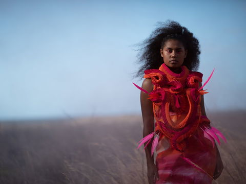 Piinpi: Contemporary Indigenous Fashion - Accommodation Mermaid Beach 0