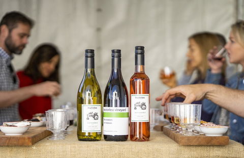 Southern Highlands Food And Wine Festival - Accommodation Mermaid Beach 2
