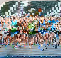 The Canberra Times Marathon Festival - Accommodation Mermaid Beach