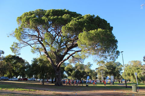 Wagga Parkrun - Accommodation Mermaid Beach 1