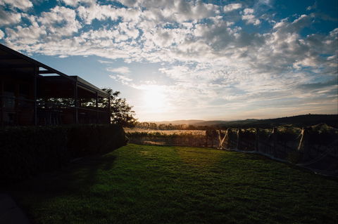 Weekly Truffling At Contentious - Accommodation Mermaid Beach 0