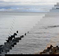 Whale Watching in Portland - Accommodation Mermaid Beach