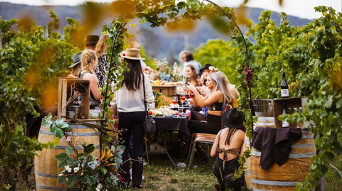 Wine Machine - NEW DATE - Accommodation Mermaid Beach 1