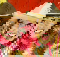 Young Annual Show - Accommodation Mermaid Beach