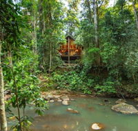 The Canopy Rainforest Treehouses and Wildlife Sanctuary - Accommodation Mermaid Beach