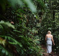 Daintree Ecolodge - Accommodation Mermaid Beach