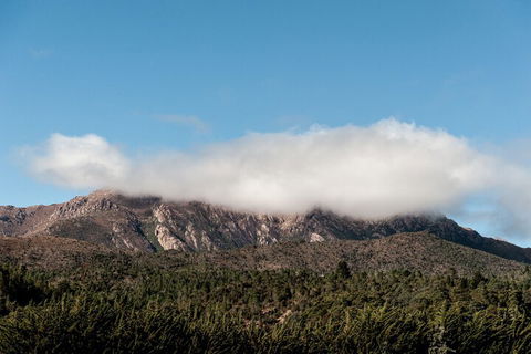 Silver Hills Motel - Accommodation Mermaid Beach 4