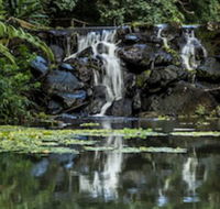 Kondalilla Eco Resort - Accommodation Mermaid Beach