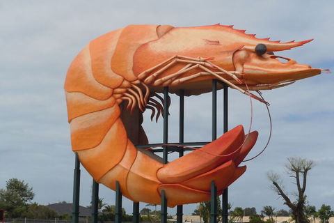 Ballina Colonial Motel - Accommodation Mermaid Beach 2