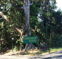 Byron Bay Rainforest Resort - Accommodation Mermaid Beach
