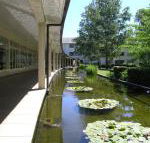 ANU University House Hotel - Accommodation Mermaid Beach