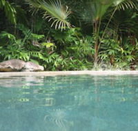 Daintree Rainforest Retreat - Accommodation Mermaid Beach