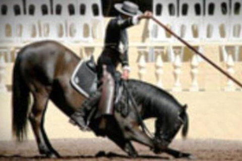 El Caballo Resort - Accommodation Mermaid Beach 6