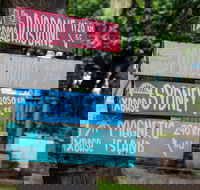 Base Airlie Beach Resort - Accommodation Mermaid Beach