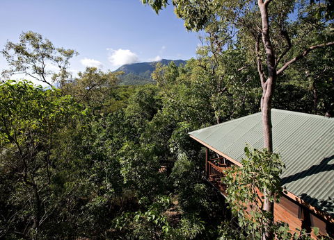 Thala Beach Nature Reserve - Accommodation Mermaid Beach 0