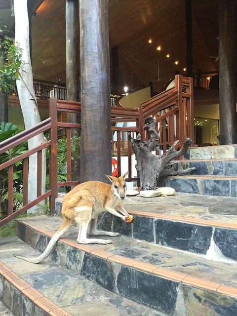 Thala Beach Nature Reserve - Accommodation Mermaid Beach 2