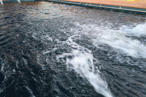 Dragon Phoenix Motel & Restaurant - Accommodation Mermaid Beach 6