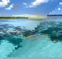 Green Island Resort - Accommodation Mermaid Beach