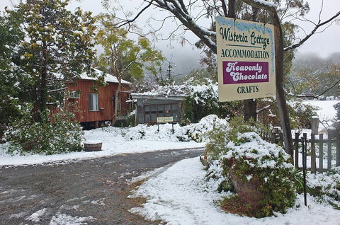 Wisteria Cottage And Cabins - Accommodation Mermaid Beach 1