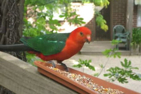 Restaway Holiday Units - Accommodation Mermaid Beach 1