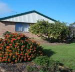 Lemontree Cottage - Accommodation Mermaid Beach