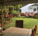 Applegate Lane Chalet - Accommodation Mermaid Beach
