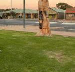 Lake Albert Motel - Accommodation Mermaid Beach