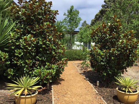 Bed + Bauhaus - Accommodation Mermaid Beach 2