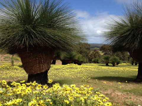 Bed + Bauhaus - Accommodation Mermaid Beach 5