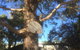 Inverloch Motel - thumb 5