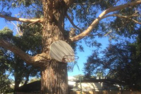 Inverloch Motel - Accommodation Mermaid Beach 5