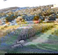 Twisted Gum Cottage - Accommodation Mermaid Beach