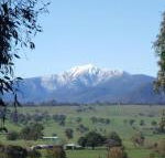 Off Mountain Accommodation - Accommodation Mermaid Beach