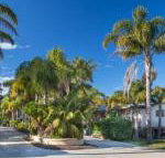Mollymook Caravan Park - Accommodation Mermaid Beach