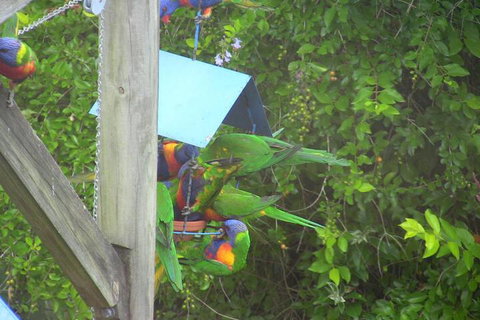 A Lakehouse Escape - Accommodation Mermaid Beach 4