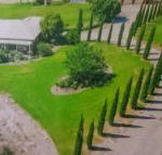 Gaerwood B  B - Accommodation Mermaid Beach