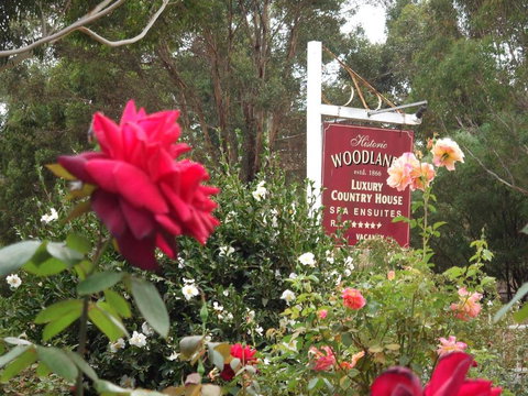 Woodlands Of Bridgetown B & B - Accommodation Mermaid Beach 5