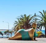 Alex Headland Beachfront - Accommodation Mermaid Beach